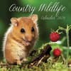 image Country Wildlife 2024 Wall Calendar Main Product Image width=&quot;1000&quot; height=&quot;1000&quot;