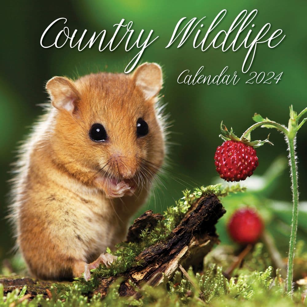 Country Wildlife 2024 Wall Calendar Main Product Image width=&quot;1000&quot; height=&quot;1000&quot;
