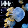 image Jellyfish 2026 Wall Calendar