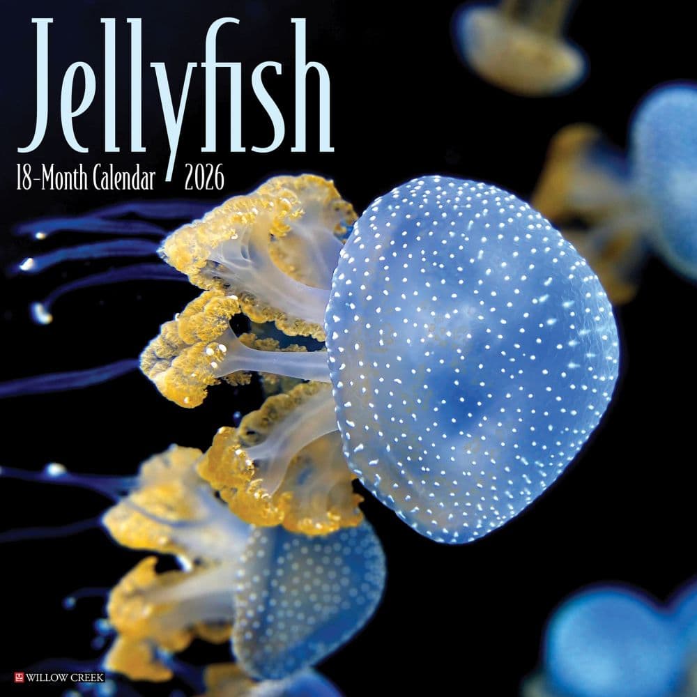 image Jellyfish 2026 Wall Calendar
