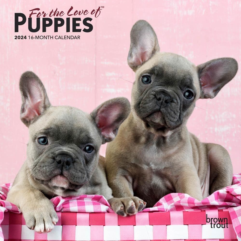 For the Love of Puppies 2024 Mini Wall Calendar Main Product Image width=&quot;1000&quot; height=&quot;1000&quot;