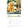 image Cat Lovers 2025 Wall Calendar Second Alternate Image width=&quot;1000&quot; height=&quot;1000&quot;