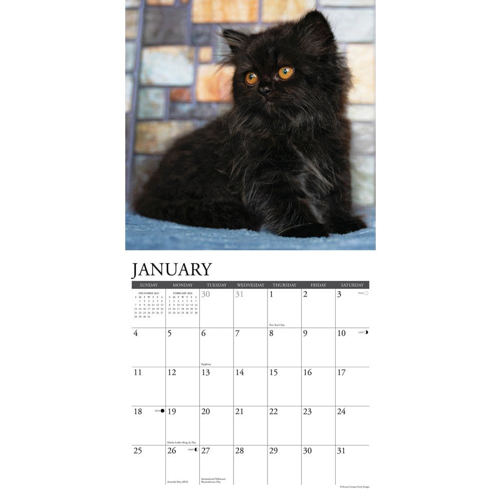 Black Kitties 2026 Wall Calendar Second Alternate Image
