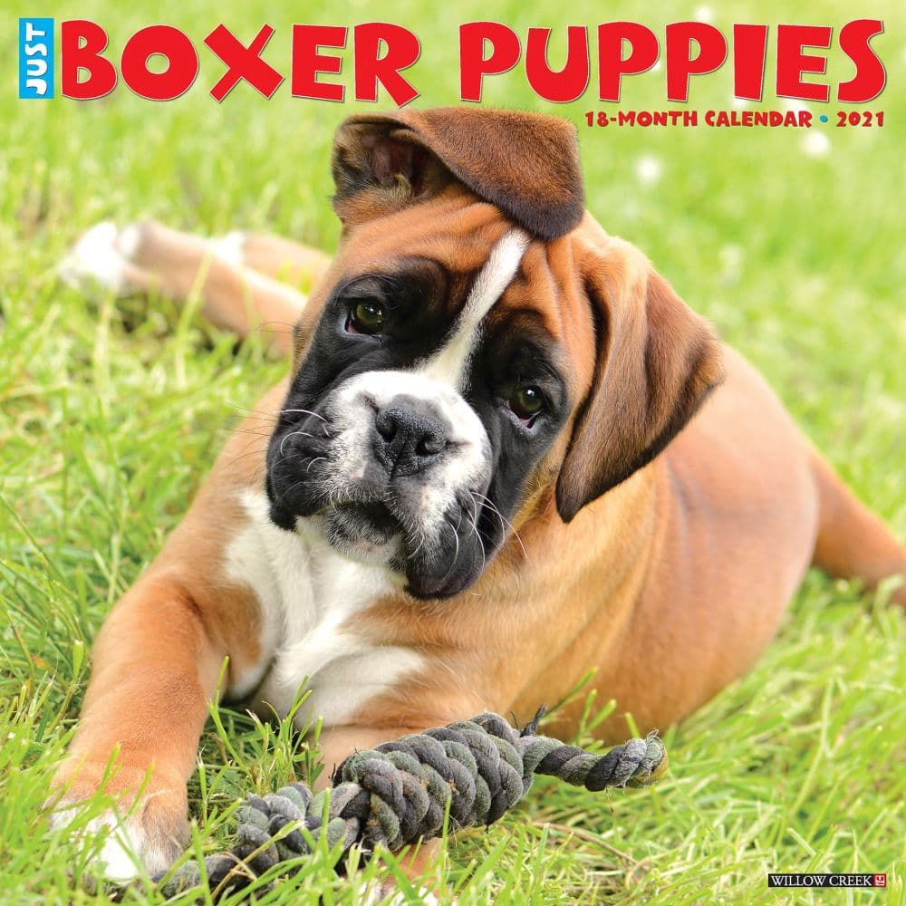 Just Boxer Puppies Wall Calendar