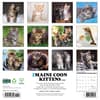 image Maine Coon Kittens 2025 Wall Calendar