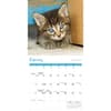 image Just Kittens 2026 Wall Calendar Second Alternate Image