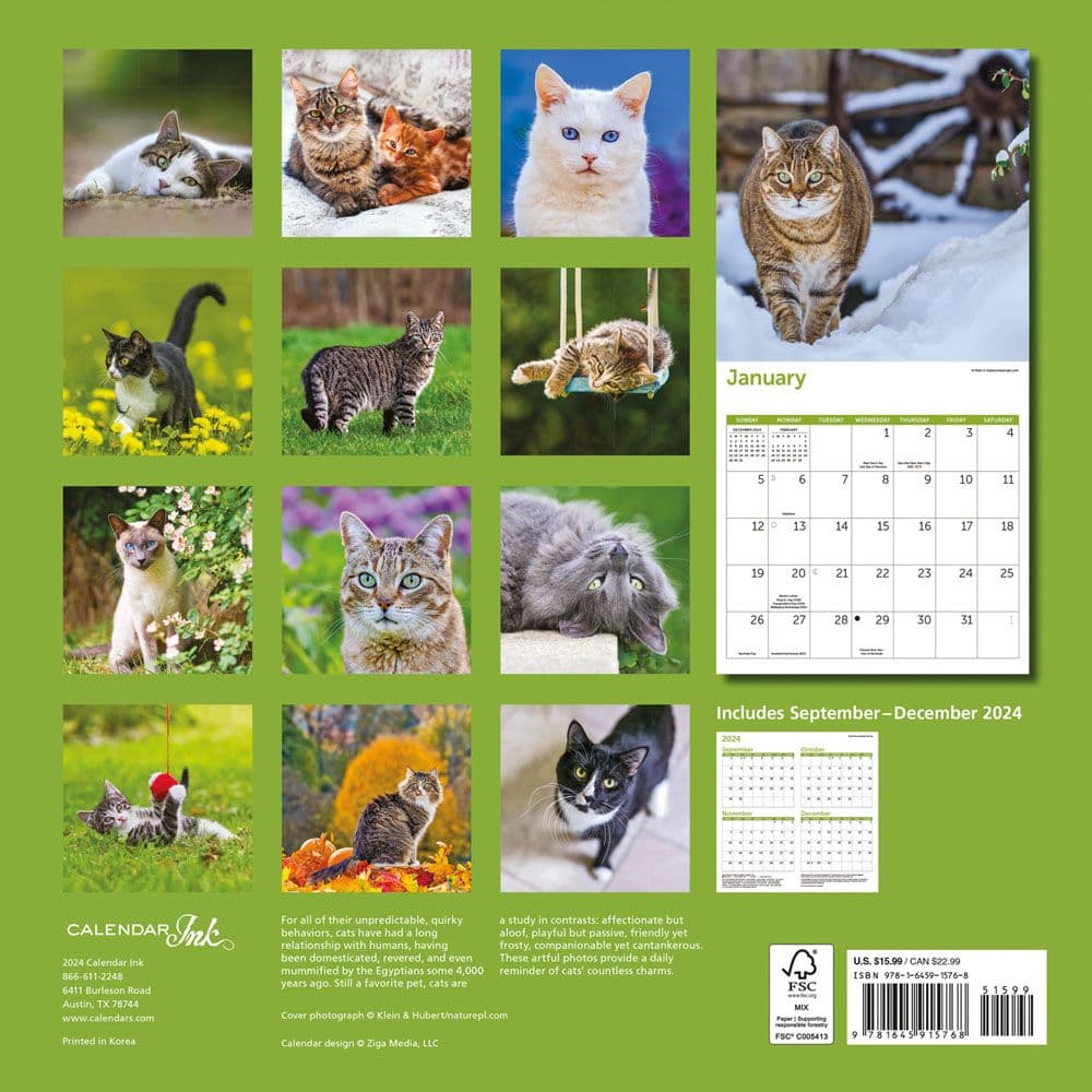 Cats 2025 Wall Calendar First Alternate Image width="1000" height="1000"