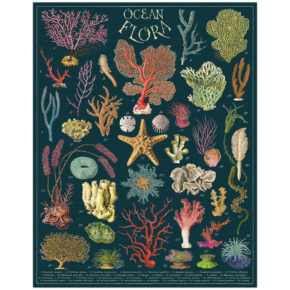 Ocean Flora 1000pc Puzzle Second Alternate Image width=&quot;1000&quot; height=&quot;1000&quot;