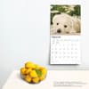 image West Highland White Terrier Pups 2024 Wall Calendar Third Alternate Image width=&quot;1000&quot; height=&quot;1000&quot;