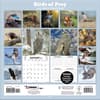 image Birds Of Prey Photo 2025 Wall Calendar Alt1