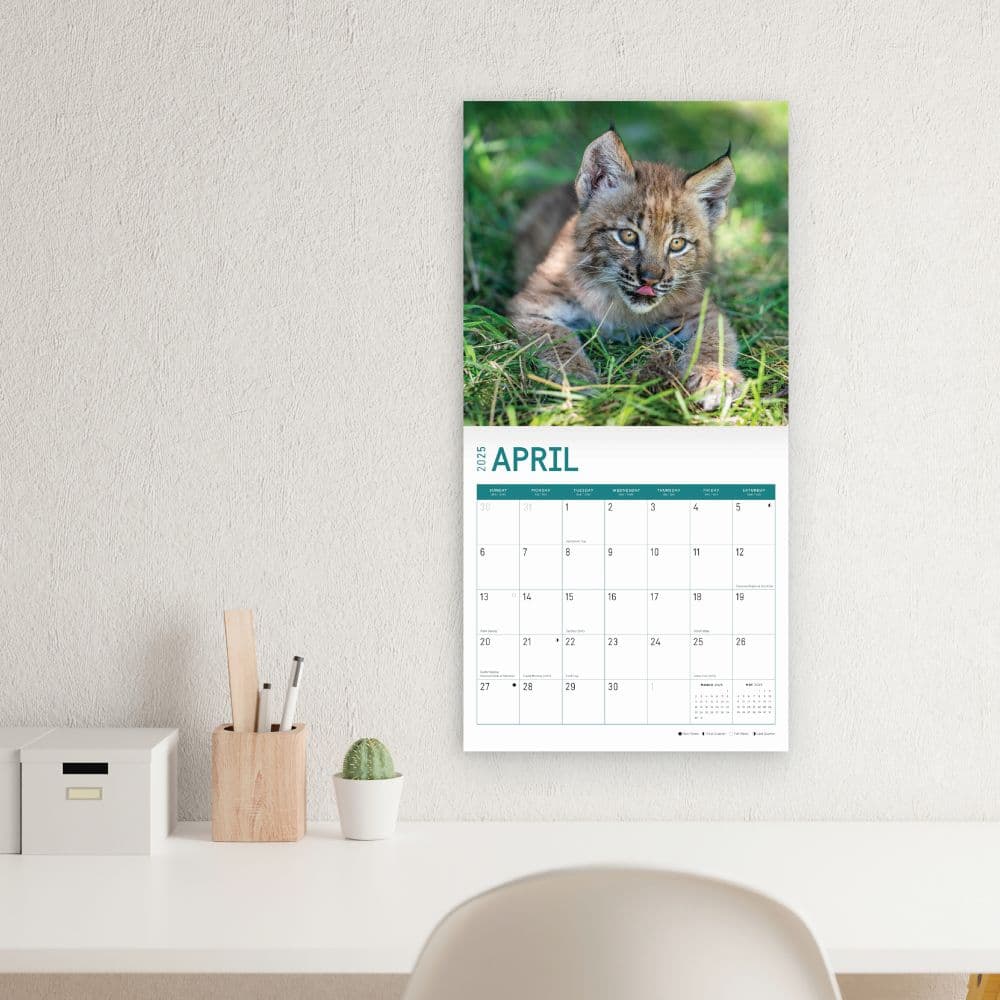 Baby Big Cats 2025 Wall Calendar Third Alternate Image width="1000" height="1000"