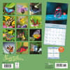 image Butterflies Special Value 2026 Wall Calendar First Alternate Image