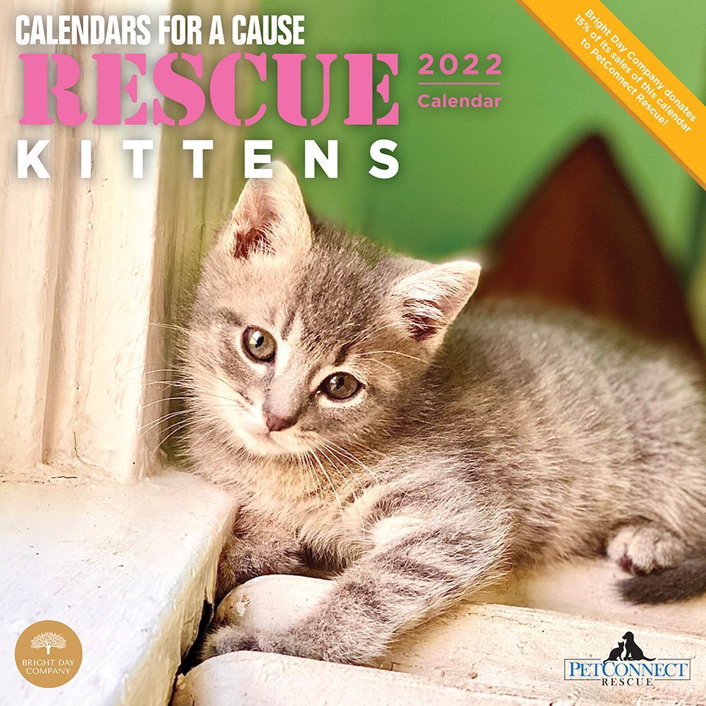 Rescue Kittens 2022 Wall Calendar