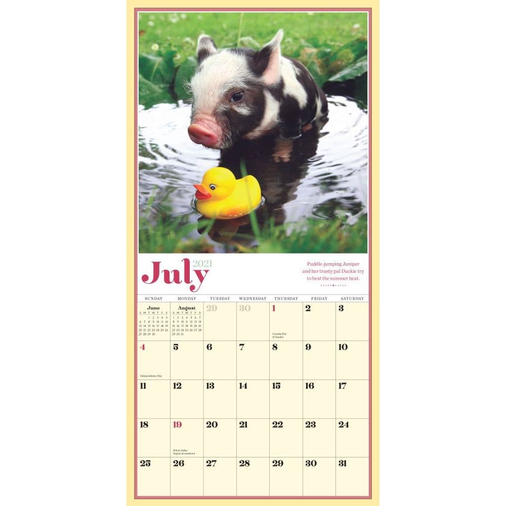pocket-pigs-mini-wall-calendar-calendars