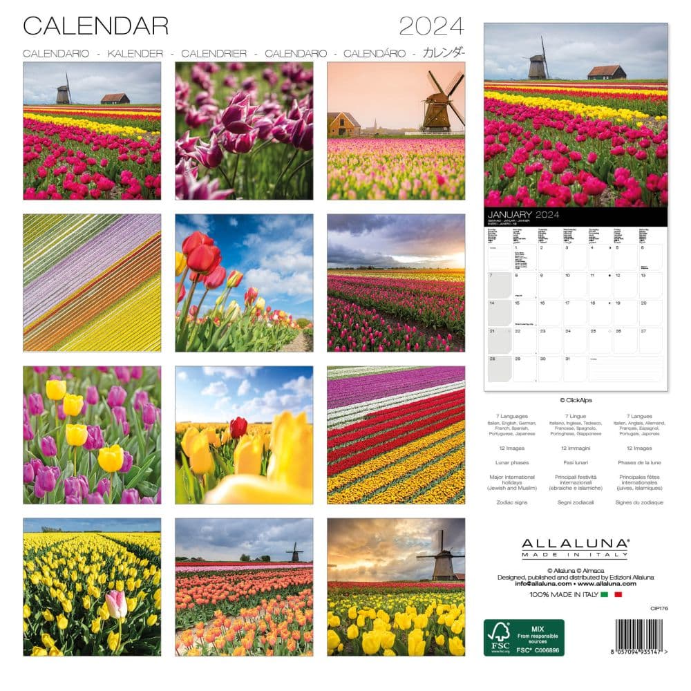 Tulips 2024 Wall Calendar