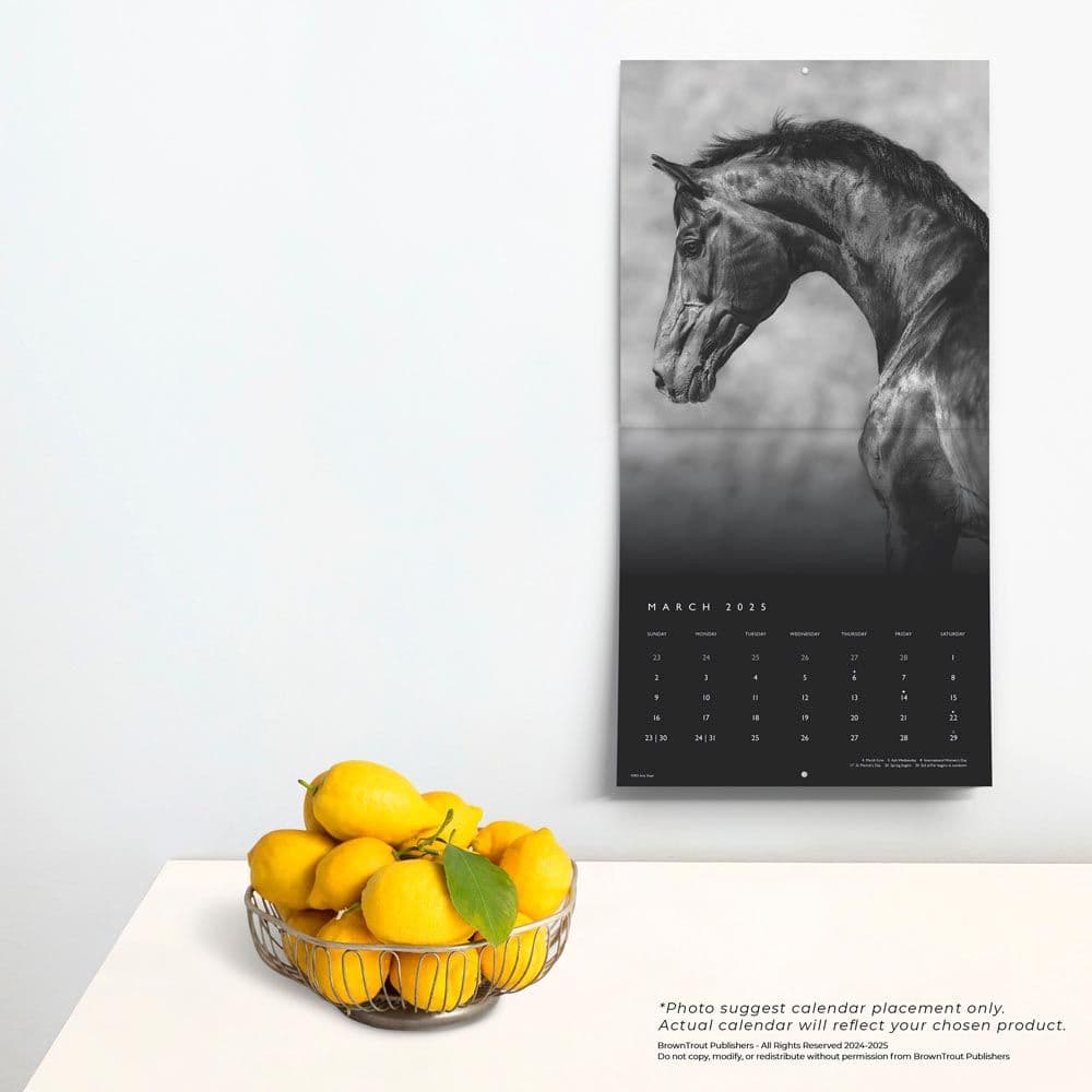Noble Horses Portrait Series 2025 Wall Calendar Fourth Alternate Image width=&quot;1000&quot; height=&quot;1000&quot;