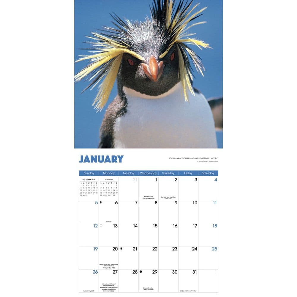 Penguins 2025 Wall Calendar