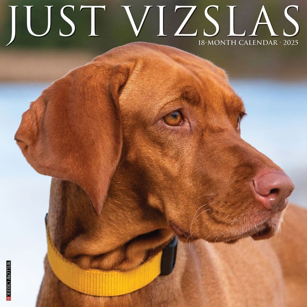 Just Vizslas 2025 Wall Calendar