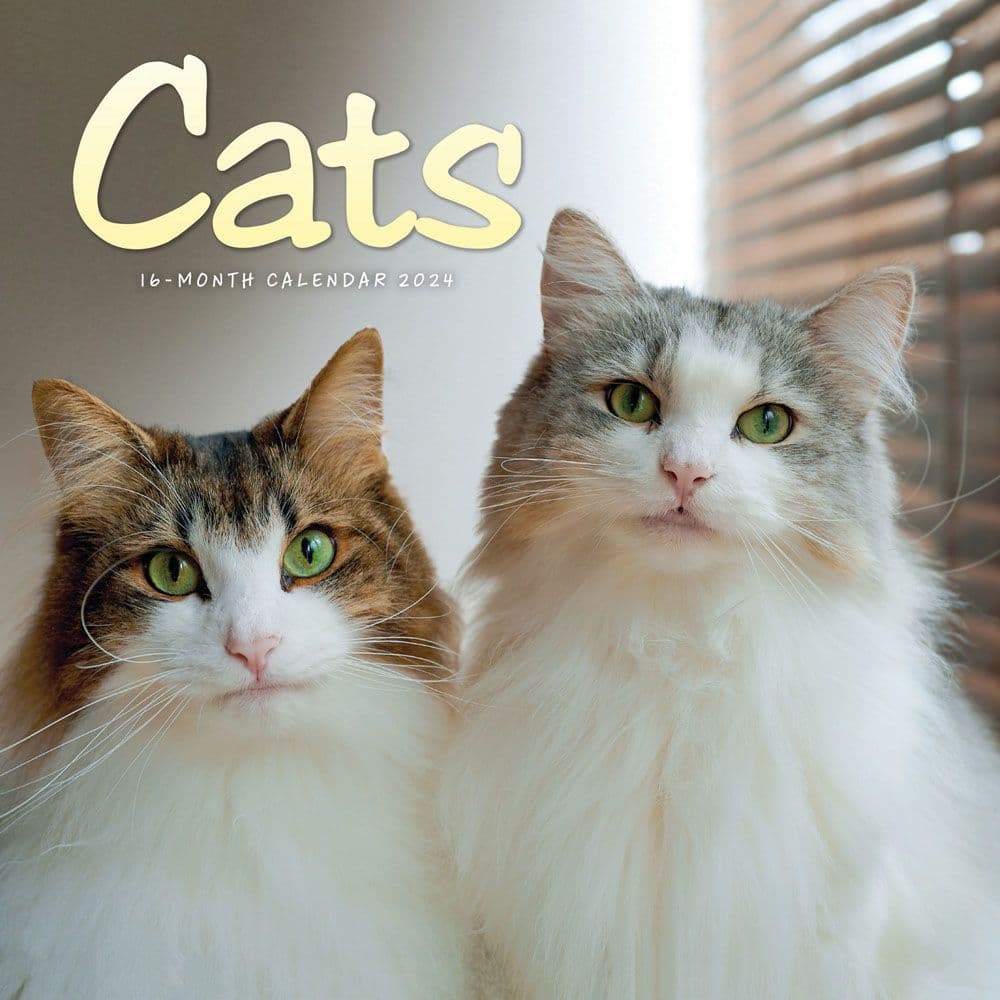 Cats And Kittens Calendar 2024 Printable Free Dedra Evaleen