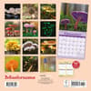 image Mushrooms 2025 Wall Calendar First Alternate Image width=&quot;1000&quot; height=&quot;1000&quot;