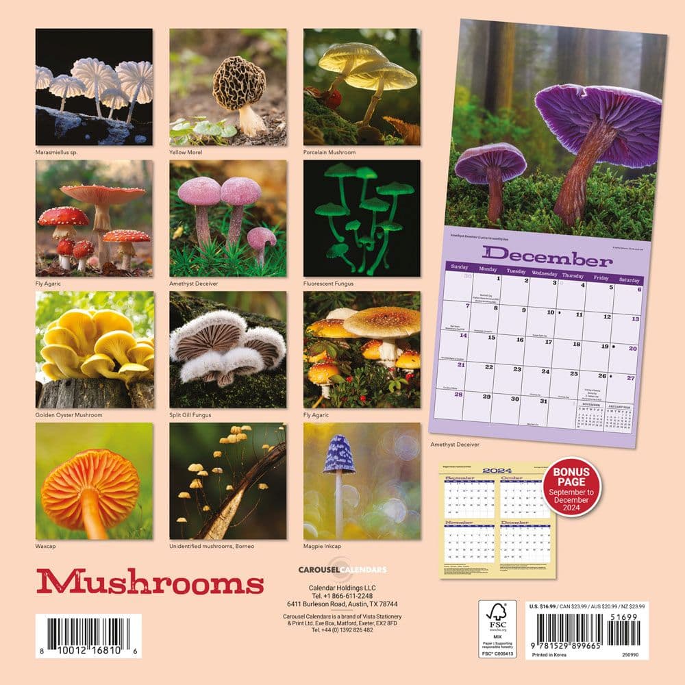 Mushrooms 2025 Wall Calendar First Alternate Image width=&quot;1000&quot; height=&quot;1000&quot;