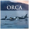 image Orcas 2025 Wall Calendar Main Product Image width=&quot;1000&quot; height=&quot;1000&quot;