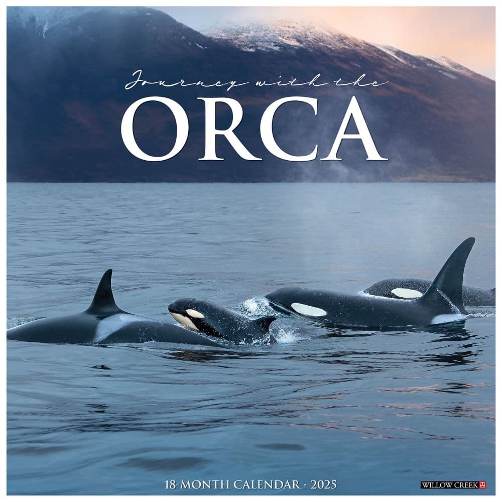 Orcas 2025 Wall Calendar Main Product Image width=&quot;1000&quot; height=&quot;1000&quot;