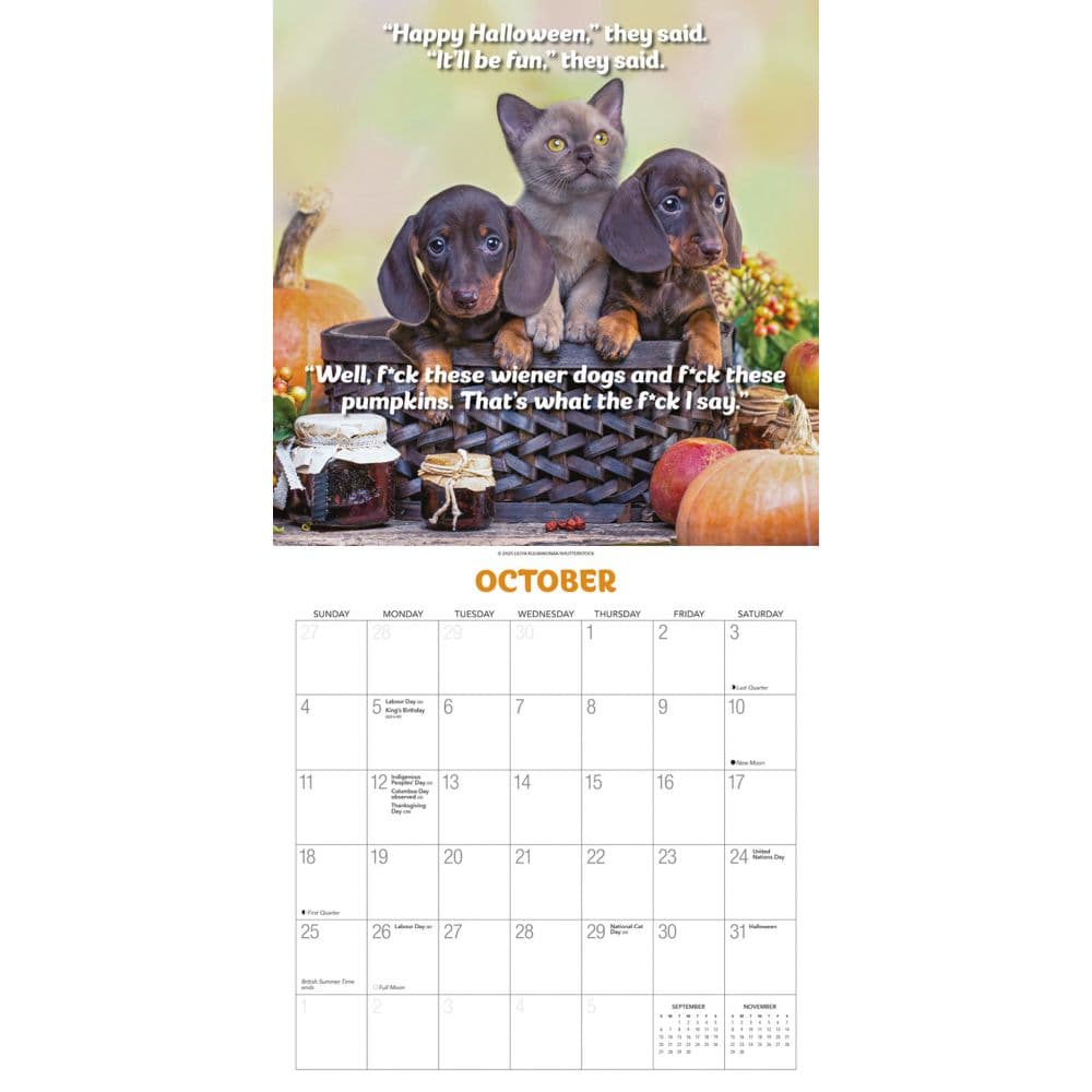 What the Fck Kitty 2026 Wall Calendar Fourth Alternate Image