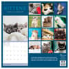 image Kittens 2025 Wall Calendar First Alternate Image