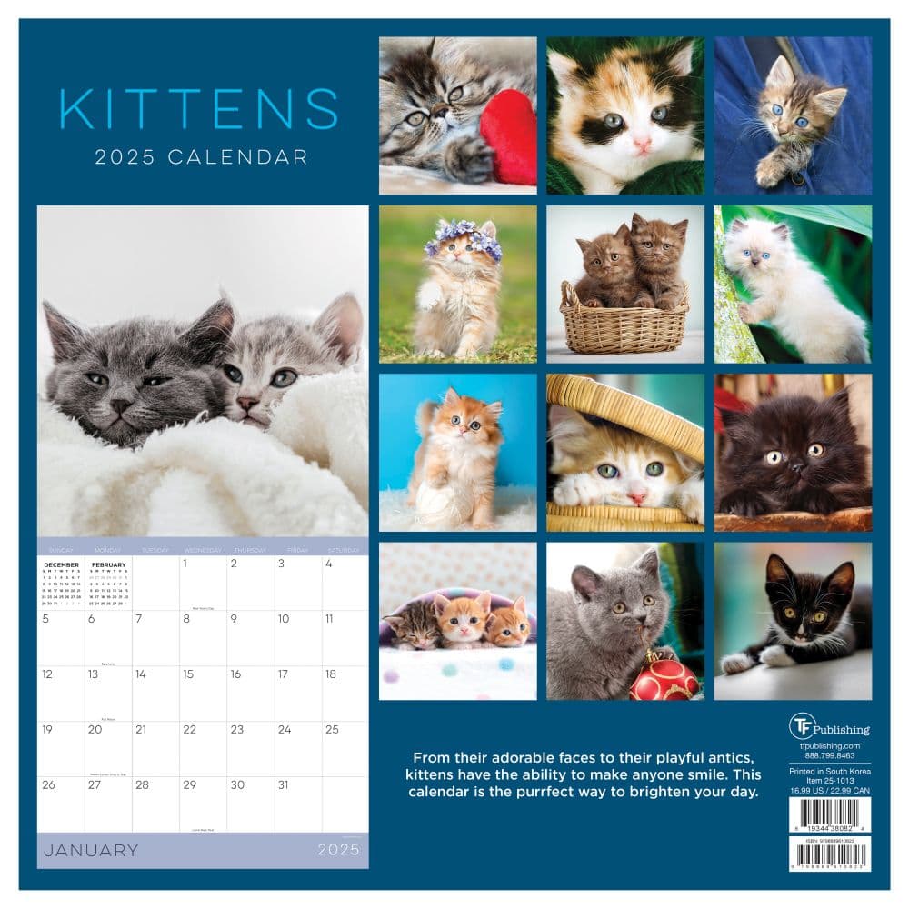 Kittens 2025 Wall Calendar First Alternate Image