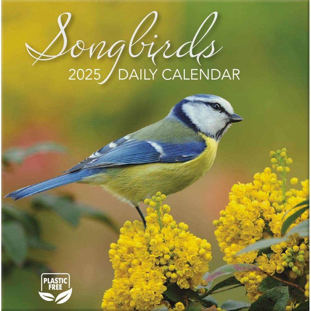 Songbirds 2025 Desk Calendar Seventh Alternate