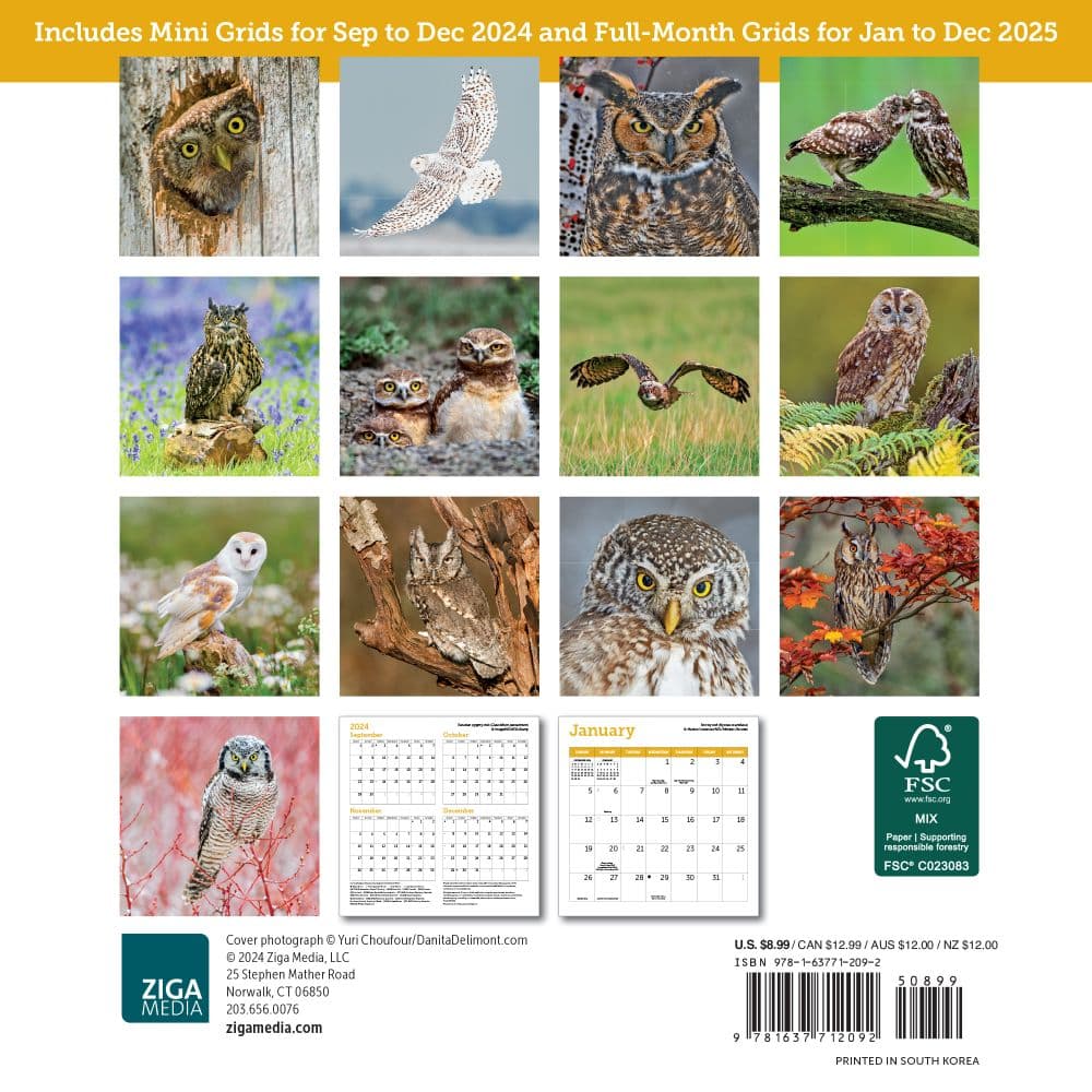 Owls 2025 Mini Wall Calendar First Alternate Image width=&quot;1000&quot; height=&quot;1000&quot;