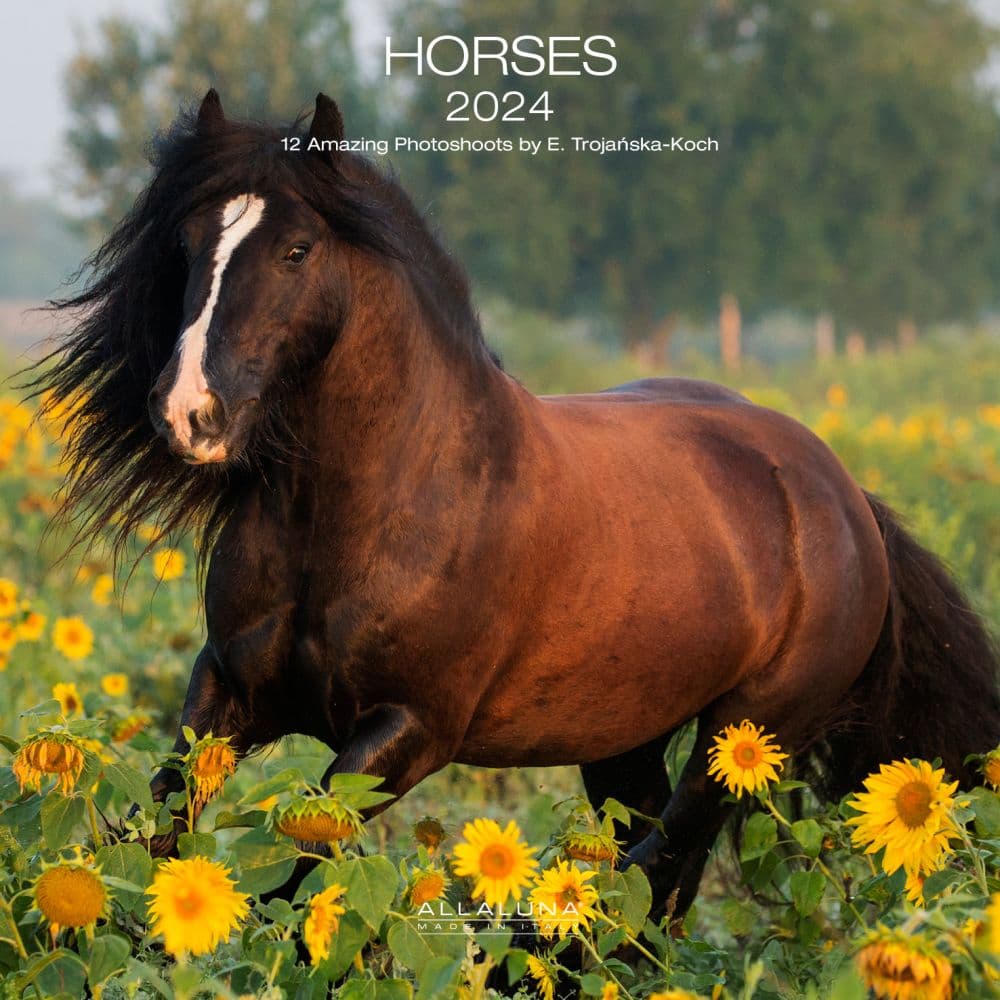 Horses 2024 Wall Calendar