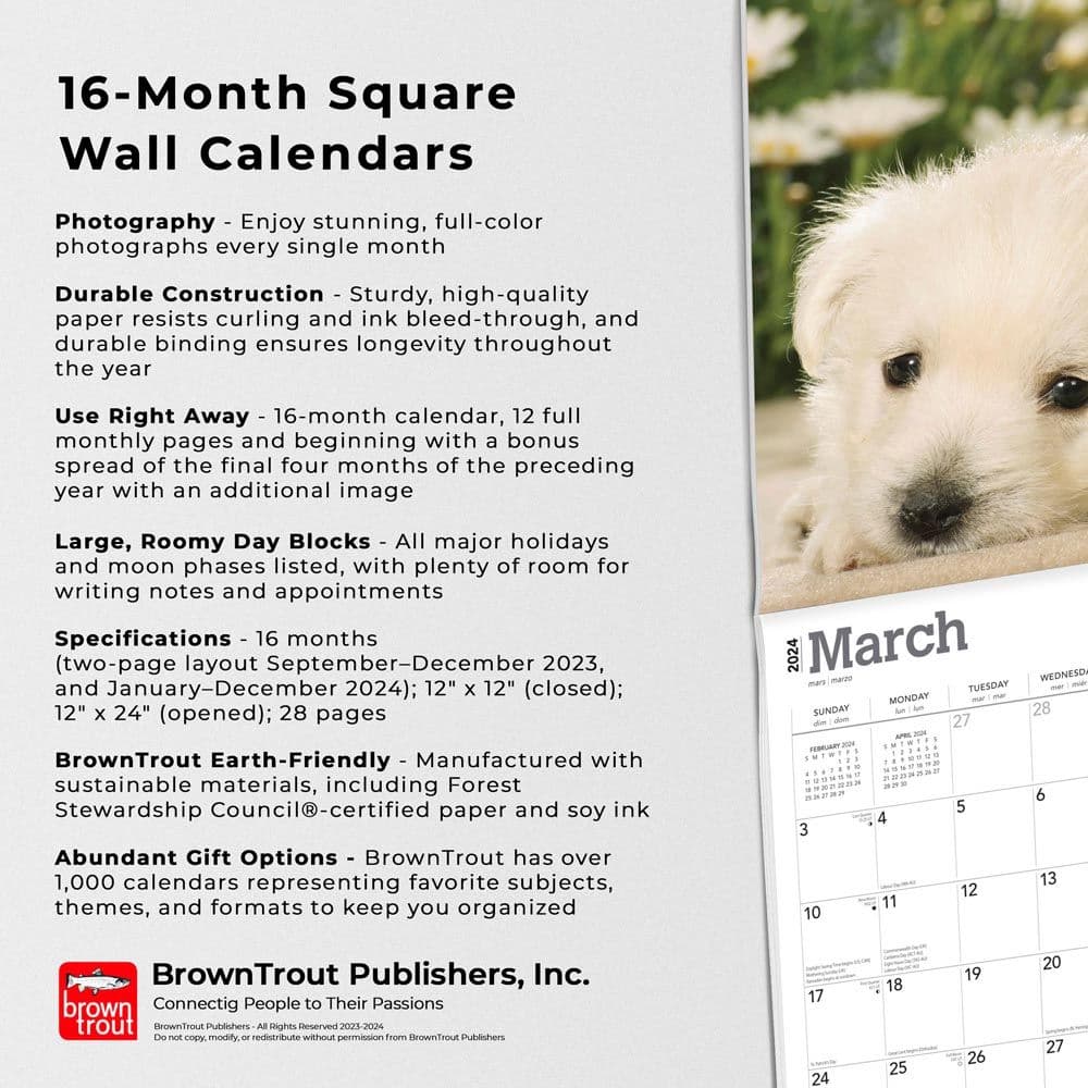 West Highland White Terrier Pups 2024 Wall Calendar Fourth Alternate Image width=&quot;1000&quot; height=&quot;1000&quot;