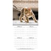 image Curious Kittens Photo 2025 Mini Wall Calendar