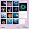 image Jellyfish 2025 Wall Calendar First Alternate Image width=&quot;1000&quot; height=&quot;1000&quot;