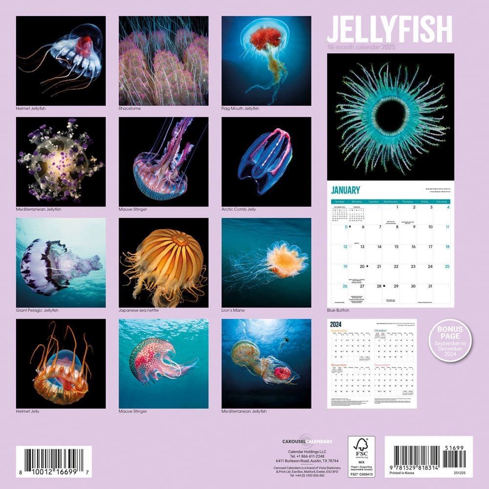 Jellyfish 2025 Wall Calendar First Alternate Image width=&quot;1000&quot; height=&quot;1000&quot;