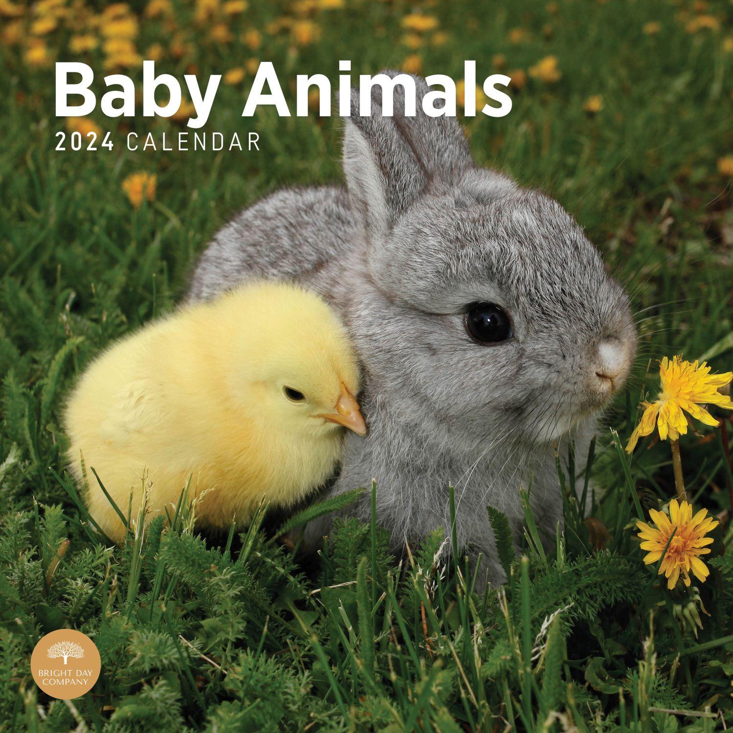 Baby Animals 2024 Wall Calendar