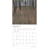 image Mississippi Wild and Scenic 2025 Wall Calendar Second Alternate Image