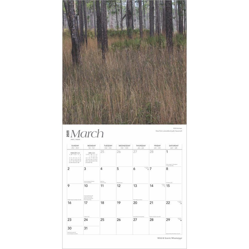 Mississippi Wild and Scenic 2025 Wall Calendar Second Alternate Image