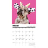 image Pardon My Frenchie 2026 Wall Calendar Second Alternate Image