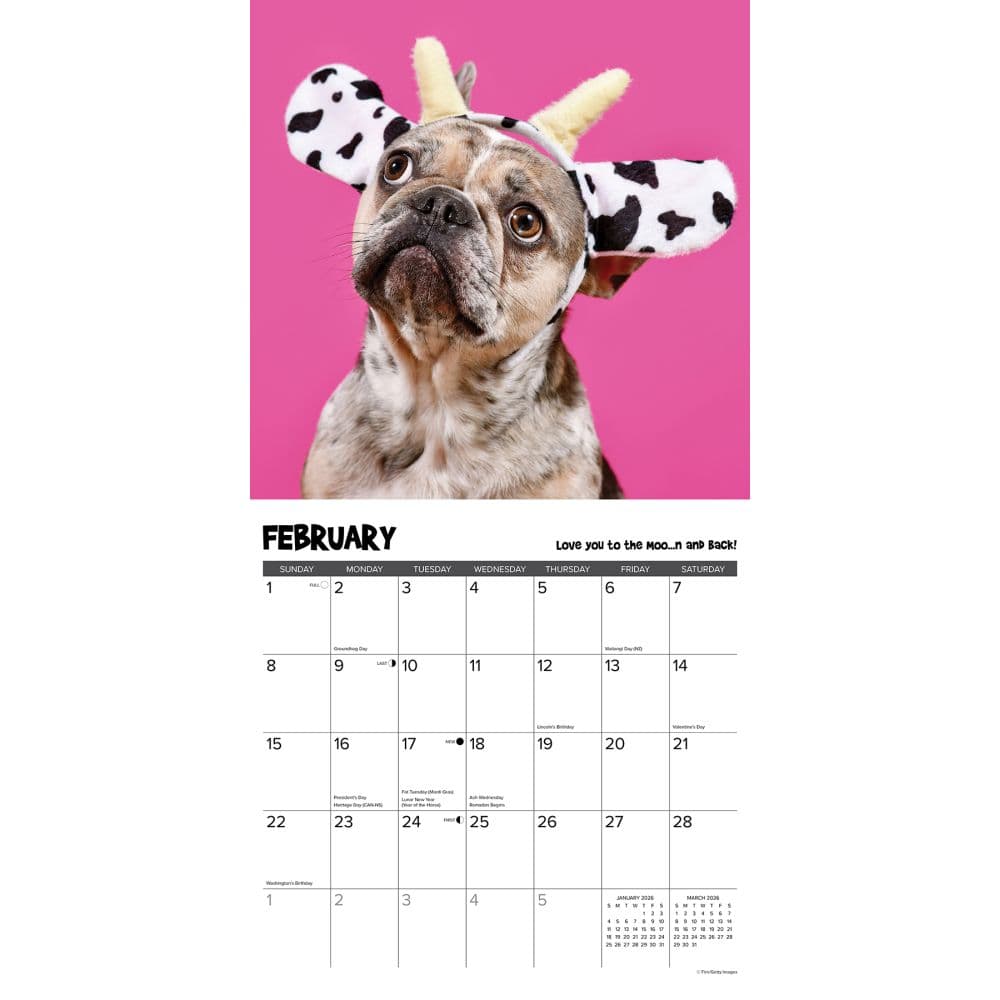 Pardon My Frenchie 2026 Wall Calendar Second Alternate Image