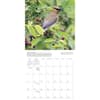image Songbirds 2024 Wall Calendar Alternate Image 3
