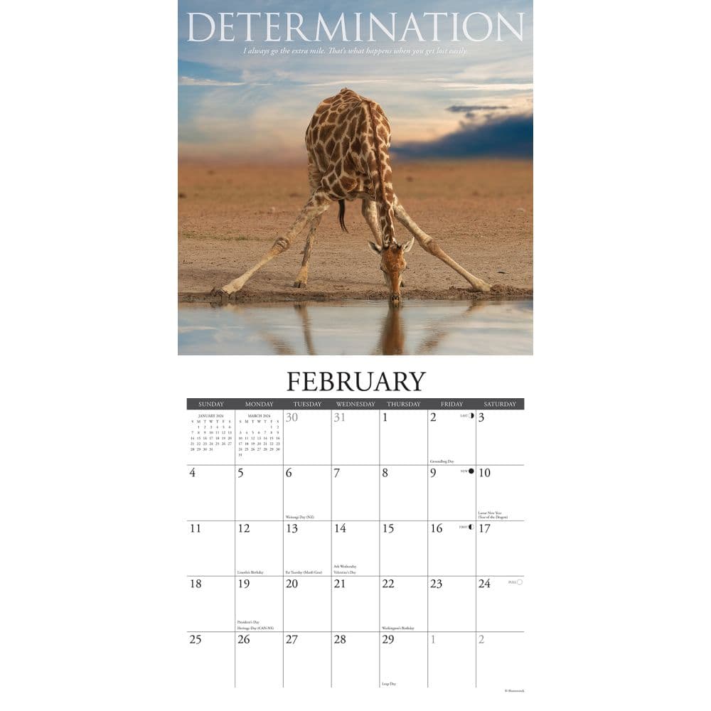 Demotivationals 2024 Wall Calendar