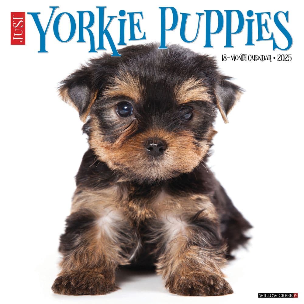 Just Yorkie Puppies 2025 Wall Calendar