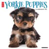 image Just Yorkie Puppies 2025 Wall Calendar Main Image