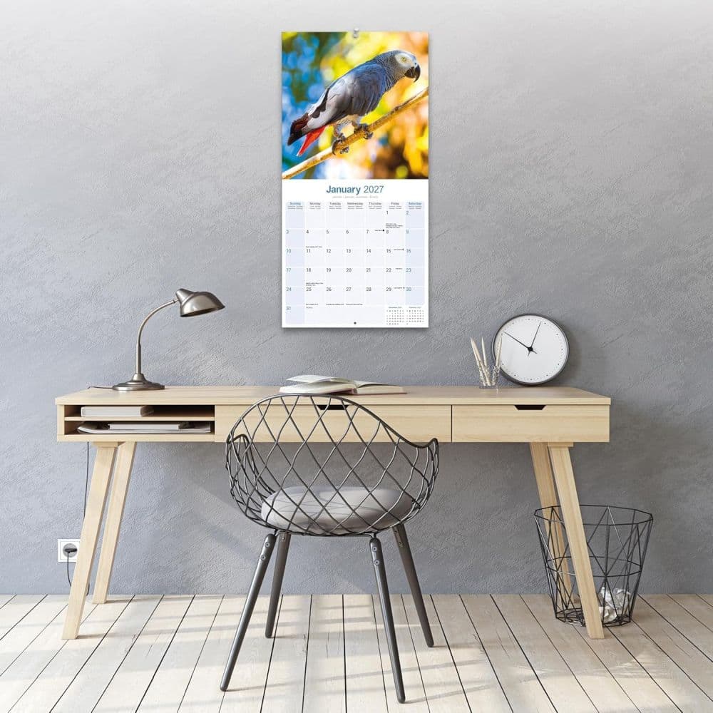 African Greys 2027 Wall Calendar Third Alternate Image
