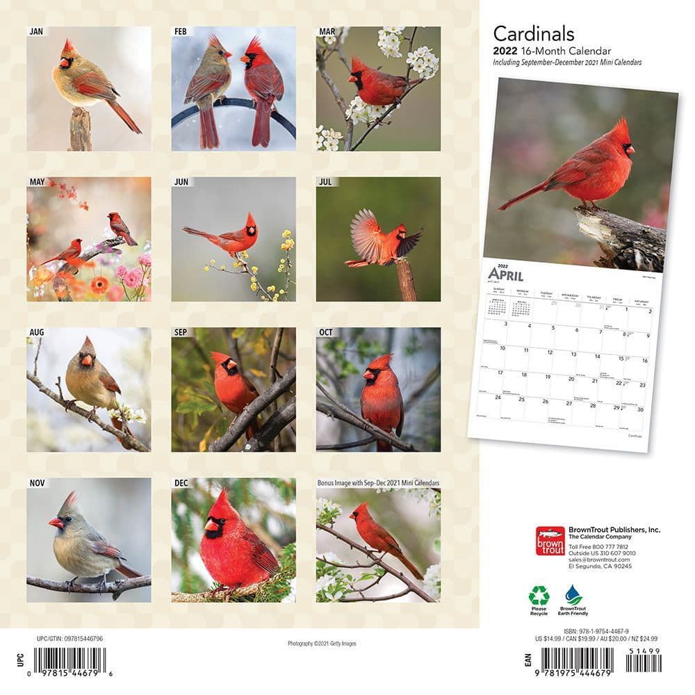 Cardinals 2022 Wall Calendar - Calendars.com