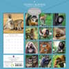 image Monkey Business 2025 Wall Calendar First Alternate Image width=&quot;1000&quot; height=&quot;1000&quot;