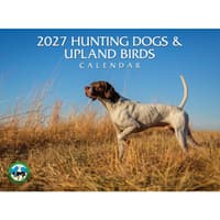 image Hunting Dogs and Upland Birds 2027 Wall Calendar Main Product Image